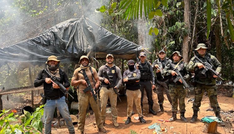 FORÇAS DE SEGURANÇA LOCALIZAM ROÇA DE MACONHA EM BOM JARDIM; DOIS SUSPEITOS FORAM PRESOS