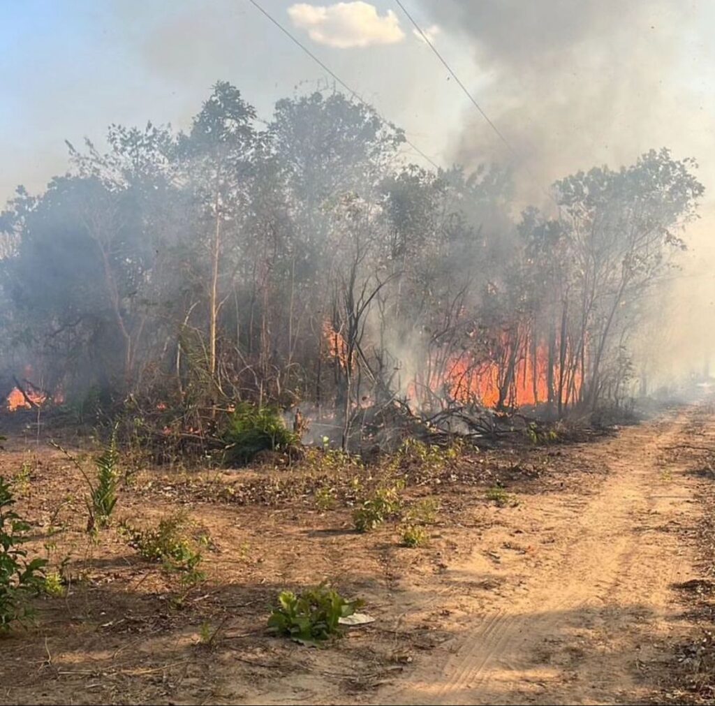 BOMBEIROS ENFRENTAM INCÊNDIOS EM FAZENDA DE TASSO FRAGOSO E UTILIZAM DRONES PARA COMBATER FOGO NA REGIÃO DAS COLINAS